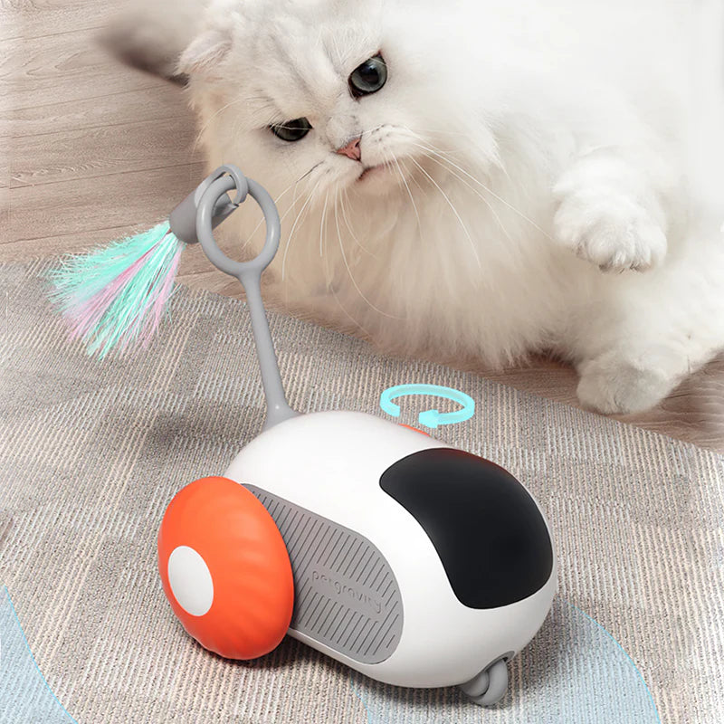 PtiChat - Compagnon interactif pour chats