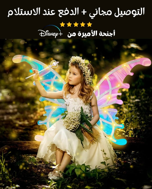 DISNEY أجنحة الأميرة من