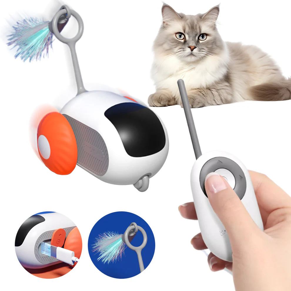 PtiChat - Compagnon interactif pour chats